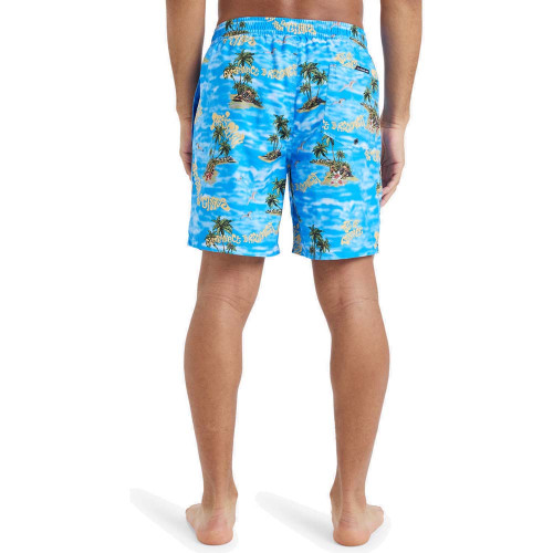 Quiksilver Ανδρικό μαγιό Everyday Straight Volley 17" - Board Shorts